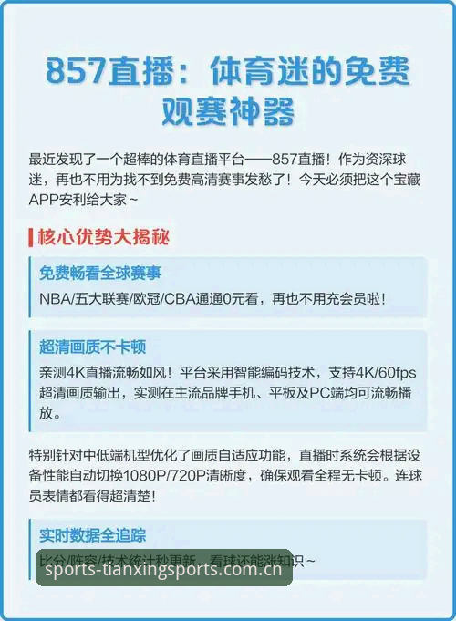 资深用户深度解析：世界杯观赛签证危机背后的真实困境与天行体育苹果版观赛体验